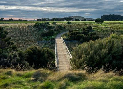The Course